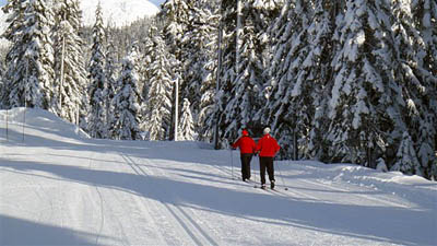 XC trails at Callaghan Country